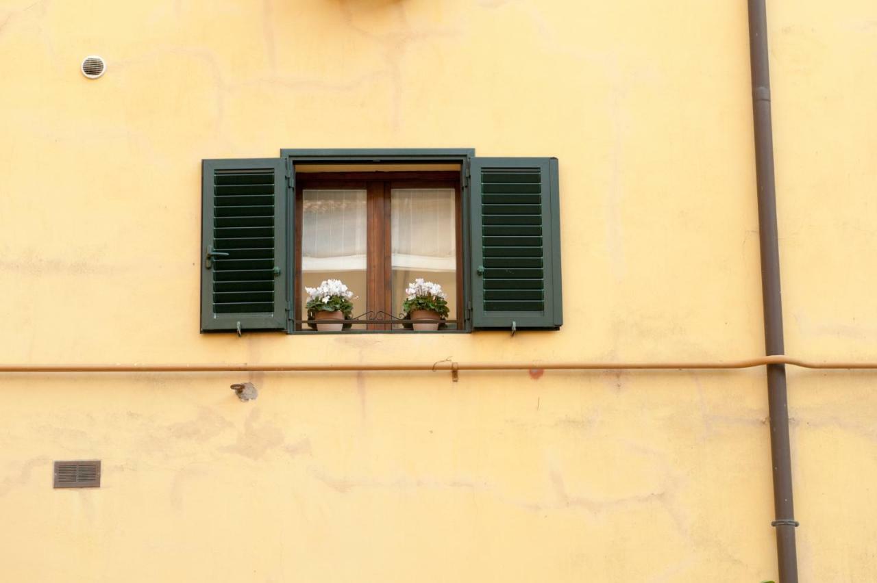 Little House Apartment - Bologna — Foto 2